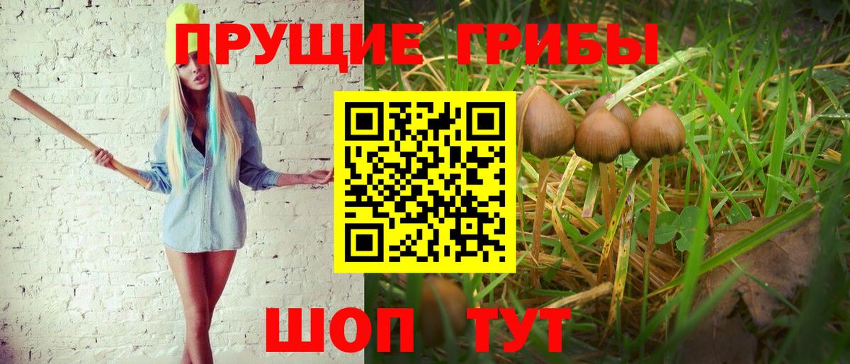 Магнитогорск  Галлюциногенные грибы Magic Shrooms  Псилоцибиновые грибы Psilocybe  Вход с VPN 